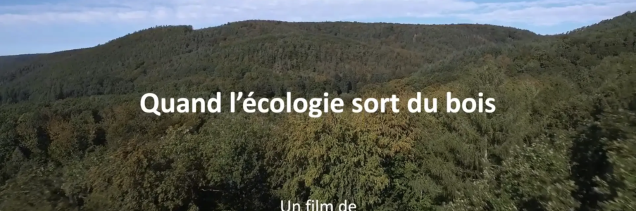 Quand l’écologie sort du bois – Marjane Productions